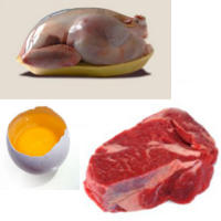 regime alimentaire proteine