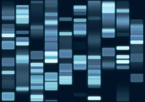 Le code génétique se trouve dans le ADN