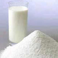 Le lait en poudre est très riche en protéines