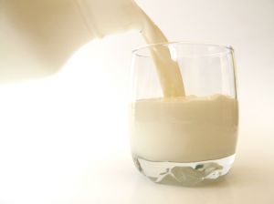 Le lait est un aliment riche en protéines