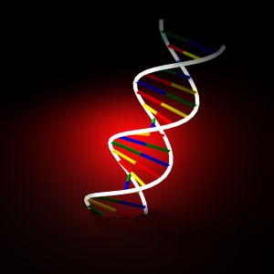 Le modèle du génome découvrira de nouvelles fonctions des protéines